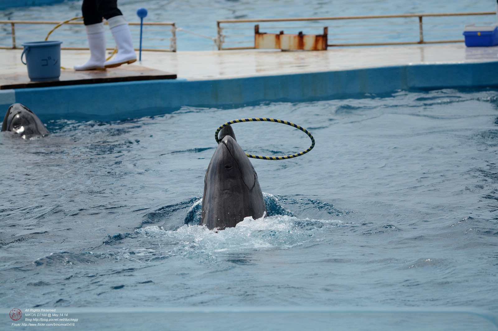 DSC_3052.jpg